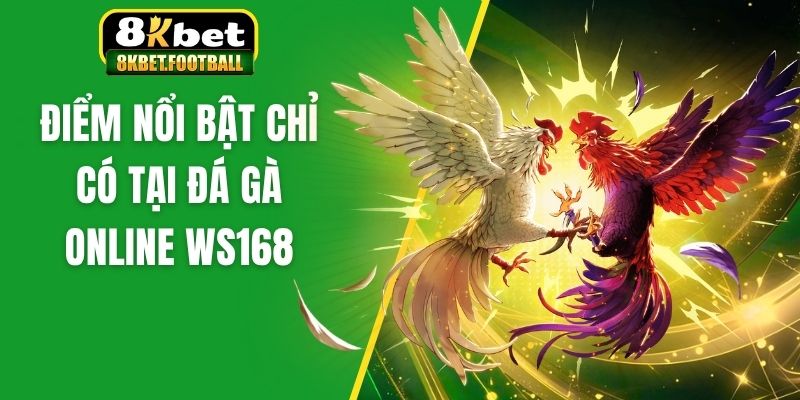 Điểm nổi bật chỉ có tại đá gà online ws168