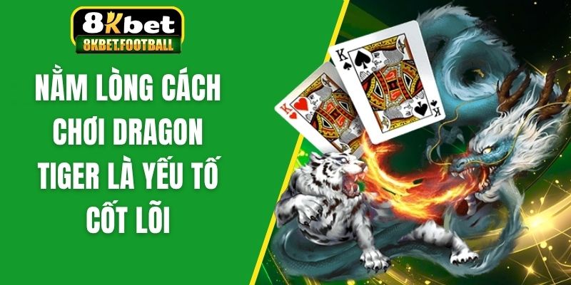 Nằm lòng cách chơi Dragon Tiger là yếu tố cốt lõi